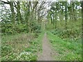 Lytchett Matravers, footpath in BH16 6BD