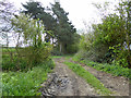 Track south from Great Yeldham Road in CO9 4HD