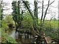 The River Ise near Warkton in NN16 0PG