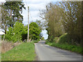 Lane towards Borley Green in Borley