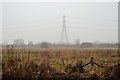 Pylon, Walthamstow Marshes in E10 7QE
