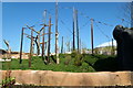 One of the two Orang enclosures at Chester Zoo in CH2 4AJ