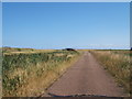Roadway, Orford Ness in IP12 2NY