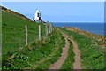 Cliff path with Whitby High Light in distance in YO22 4JZ