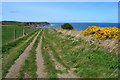 Coast path near Limekiln Slack in YO22 4PH