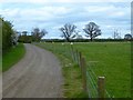 Farmland track east of Warkton in Warkton