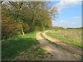 Track by Kirval Lane Row Copse in RG23 8PG