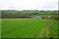 Bridleway approaching Mickley Moor West Farm in NE43 7EH