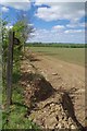 Footpath to Radley Green in CM1 3SJ