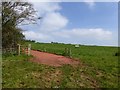 Farm track and public footpath, Riscombe Hill in EX5 5BW