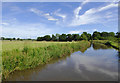 Trent and Mersey Canal north of Rugeley, Staffordshire in WS15 3JS