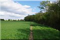 Footpath Past Ring Grove in CM1 4NR