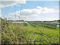 Lytchett Matravers, solar farm in BH16 6HS