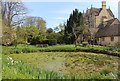 Fishpond at Whittington Court in Whittington