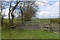 Gate and stile, Boghead in ML3 8RY