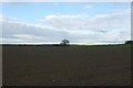 Farmland from High Catton Road in YO41 1DX