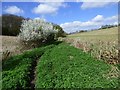 Farmland, Chepping Wycombe in HP10 9RR