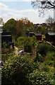 Burnt Oak: the Silk Stream flowing through allotments in HA8 9HE