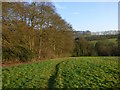 Farmland and woodland, Piddington in HP14 3BE
