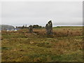 Standing stones at Baliscate, Tobermory in PA75 6PY