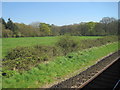 View from a Southampton-Salisbury train - Farmland near Awbridge in SO51 0HE