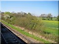 View from a Southampton-Salisbury train - Farmland near Lockerley in SO51 0JB