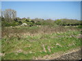 View from a Southampton-Salisbury train - view towards East Grimstead in SP5 3SB