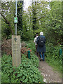 Path through Oxhey Woods, Oxhey in WD19 7PP