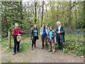 Path through Oxhey Woods, Oxhey in WD19 6JZ