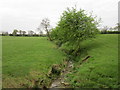 Minor stream near Weedon Lois in NN12 8PP