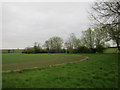 Field edge near Weston in NN12 8PX
