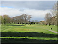 Brechin 8th hole, Wee Well in DD9 6YE