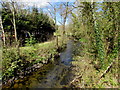 Upstream along the Afon Cammarch, Llangammarch Wells in LD4 4EA