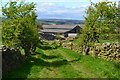 Grassy track into Moor Lane Farm in YO22 5PN