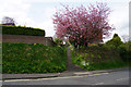 Footpath behind the houses in NE42 6PE