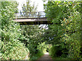 Footbridge over Trans Pennine Trail. in DN4 0DT