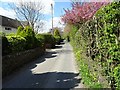 Springtime in Eccles Road in SK23 9RY