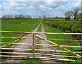 Track and farmland near Rothley Plain in LE7 7SF