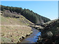 Beldon Burn below Heathery Burn in NE47 0JH