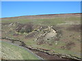The cleugh of Beldon Burn below Heathery Burn in NE47 0JH