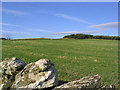 Farmland at Kirkton in TD9 8QJ