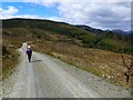 Track in the Loch Ard Forest in FK8 3TW