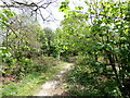 Path in Lake Wood, Uckfield in TN22 2DB