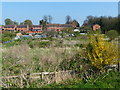 Allotments next to the River Trent in DN21 2TU
