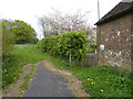 Footpath reaches hedge giving privacy at Great Strudgate Farmhouse in RH17 6RB