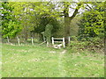 Field path goes towards stile into woodland in RH19 4RA