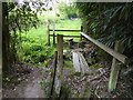 Footpath crosses stream and stile to cross field and reach next stile in RH19 4RA
