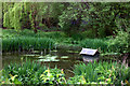 Pond and duck house off Gatehouse Lane in TN22 5RX