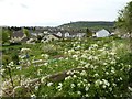 View over allotments in Wotton-under-Edge in GL12 7NF