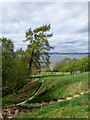 Steps and path descending to Vane Farm visitor centre in KY13 9LX